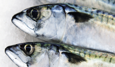 image370x2162 → Mirage Foods